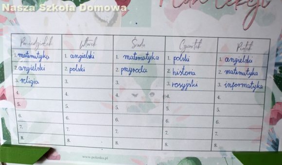 plan zajęć